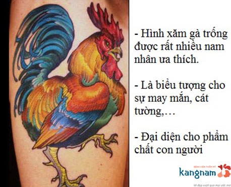 Hinh XÄƒm Con Ga Trá»'ng Ä'áº¹p Truáº¥t Danh Cho Nam Y NghÄ©a Phia Sau